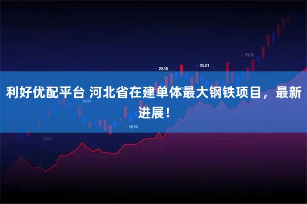 利好优配平台 河北省在建单体最大钢铁项目,最新进展!